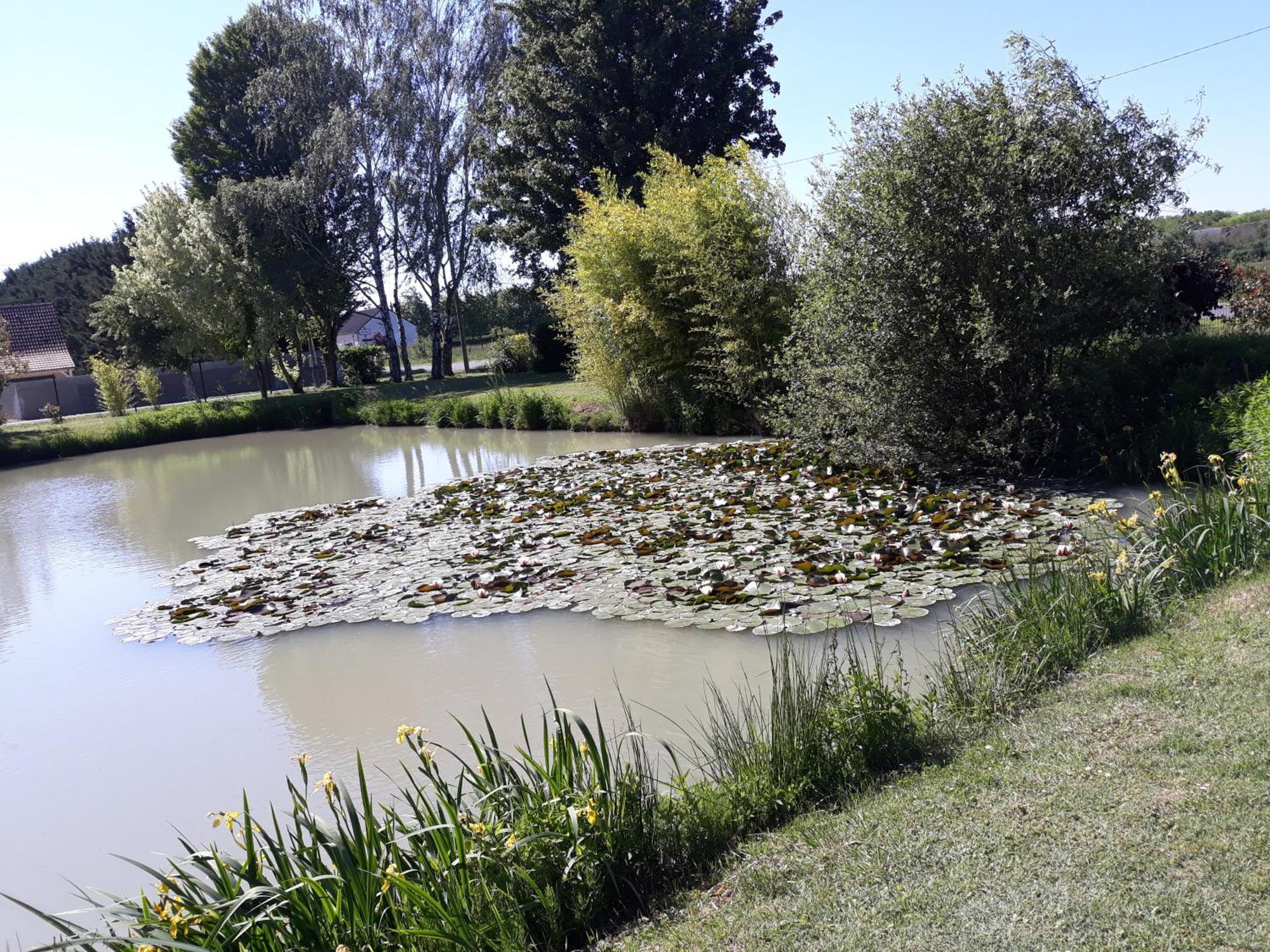 Comme A La Maison Pres Des Chateaux De La Loire Feings  Luaran gambar